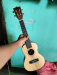 AXE 24' Ukelele
